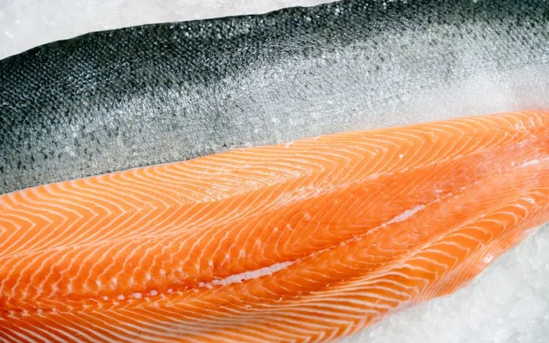 Detailed close-up of a fresh raw salmon fillet with skin on ice, highlighting texture and freshness.