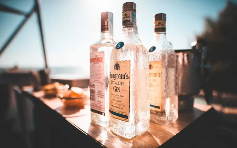 Chilled bottles of gin and vodka on a sunlit outdoor table, ideal for a summer celebration.