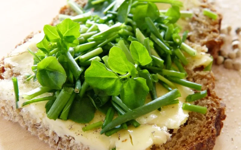 rukiew wodna, szczypiorek, chleb maślany, sól, pieprz, bochenek, jedzenie, pokarm, rzeżucha, deska do krojenia, zdrowy, bio, jadalny, chleb z rzeżuchy, zielony, dieta, detoks, wiosna, natura, wegetariański, odbiór własny, potok, źródło, woda, witaminy, minerały, olejek musztardowy, detoksykacji, oczyścić, oczyszczanie wątroby, zdrowie, zapobiegać, grypa, wirus, powąchać, domowej roboty, piec, śniadanie, złamać, czas na chleb, kanapka, masło, soja, orkisz, bezglutenowe, alergia, włókno