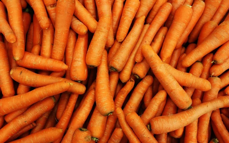 marchew, darmowe tło, carrots, marchew background, tła pulpitu, carrots background, marchewka, tapeta na mac, healthy, fresh, tapeta 4k, jedzenie, tapeta systemu windows, vegetable, tło, tapeta hd, pomarańczowy, vegetarian, piękna tapeta, organic, ripe, root, natura, fajne tła, tapeta na laptopa, ingredient, tapeta 4k 1920x1080, tapeta w pełnej rozdzielczości, dieta, naturalne, raw, zbliżenie, darmowe tapety, kwiatowy tło, nutrition, zakład