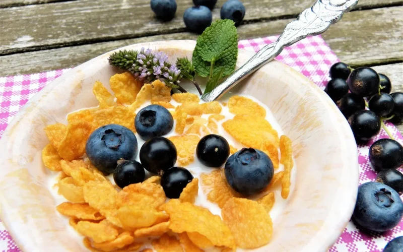 corn flakes, mleko, jagoda, natura, jagody, czarne porzeczki, ogród, bio, wegańskie, wegetariański, mleko migdałowe, orkisz, owies, mleko ryżowe, soja, jedzenie, posiłek, żywność, deser, zdrowy, nabiał, owoc, witaminy, mało kalorii, płatki śniadaniowe, dieta, bez cukru, fruktoza, cukrzyca, ziarno, śniadanie, złamać, niskowęglowodanowy, detoks, miseczka na płatki, świeży, sałatka owocowa