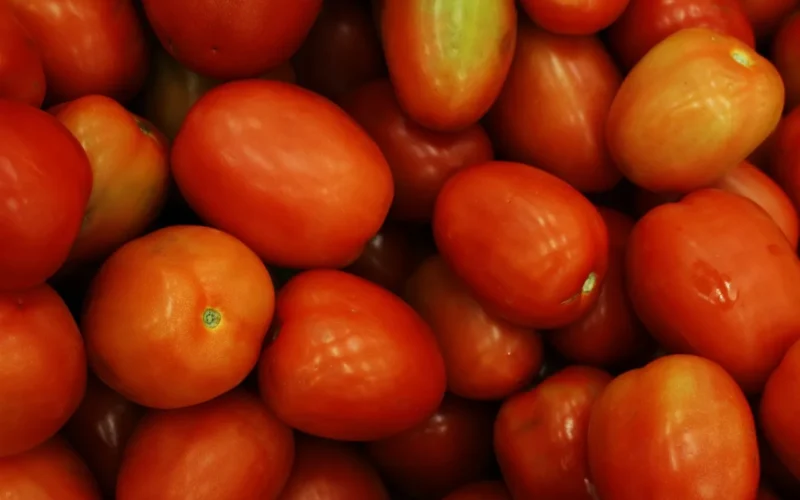 pomidory, pomidory background, pomidor, tomato background, ripe, vegetable, jedzenie, czerwony, red background, fresh, zbliżenie, organic, ingredient, healthy, raw, natura, group, vegetarian, zakład, makro, kolor