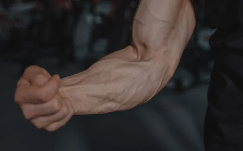 Detailed image of a flexed arm showing prominent veins and muscular definition.