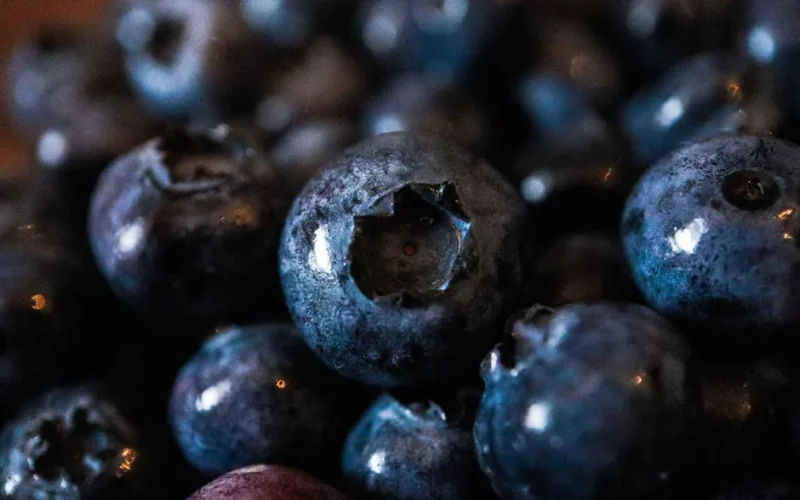 Macro shot highlighting fresh, juicy blueberries with a natural glow and detail.