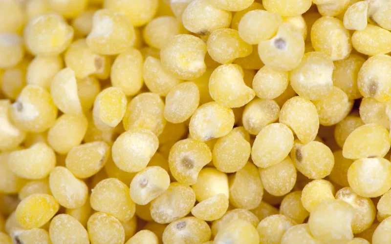 jedzenie, millet, cereal, porridge, naturalny, smaczny, zdrowy, dieta, aromatyczny, millet, millet, millet, millet, millet