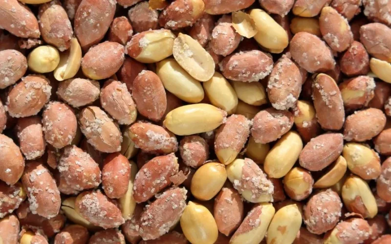 A detailed close-up photograph of salted peanuts with shells, showcasing texture.