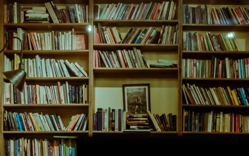 A cozy home library with filled wooden bookshelves and a warm reading lamp.